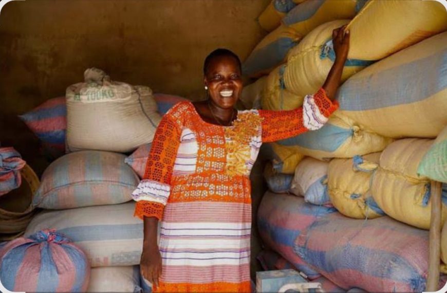 L'entrepreneuriat féminin au Burkina Faso dans le secteur agroalimentaire.